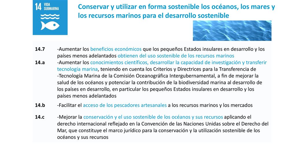 Conservar y utilizar en forma sostenible los océanos, los mares y los recursos marinos para el desarrollo sostenible