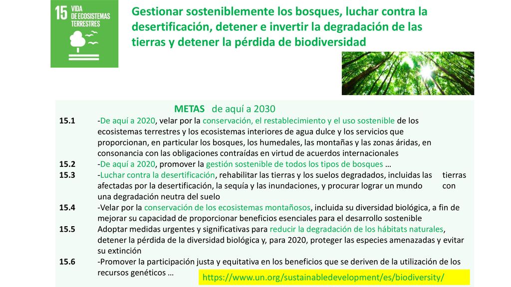 Gestionar sosteniblemente los bosques, luchar contra la desertificación, detener e invertir la degradación de las tierras y detener la pérdida de biodiversidad