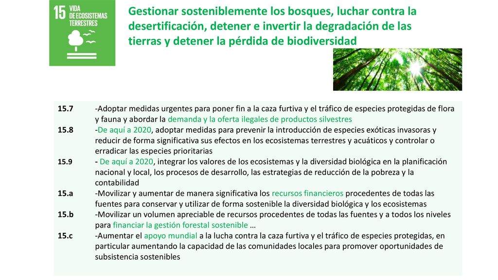 Gestionar sosteniblemente los bosques, luchar contra la desertificación, detener e invertir la degradación de las tierras y detener la pérdida de biodiversidad