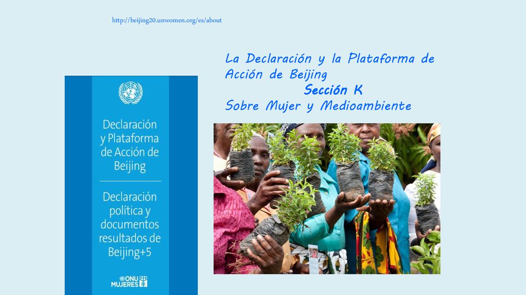 La Declaración y la Plataforma de Acción de Beijing Sección K