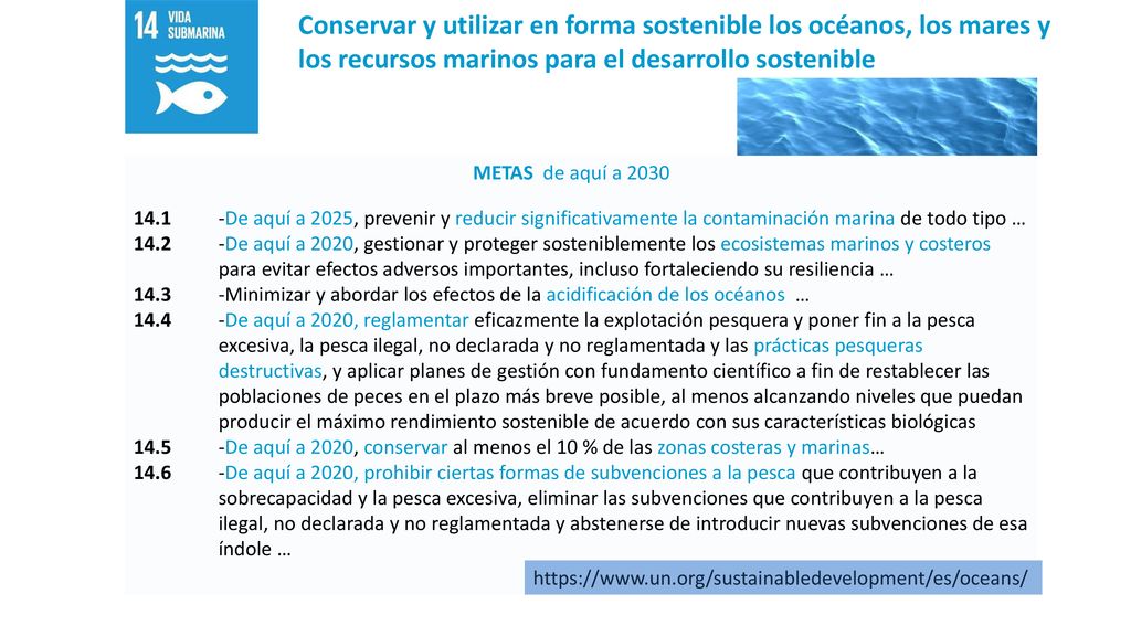 Conservar y utilizar en forma sostenible los océanos, los mares y los recursos marinos para el desarrollo sostenible