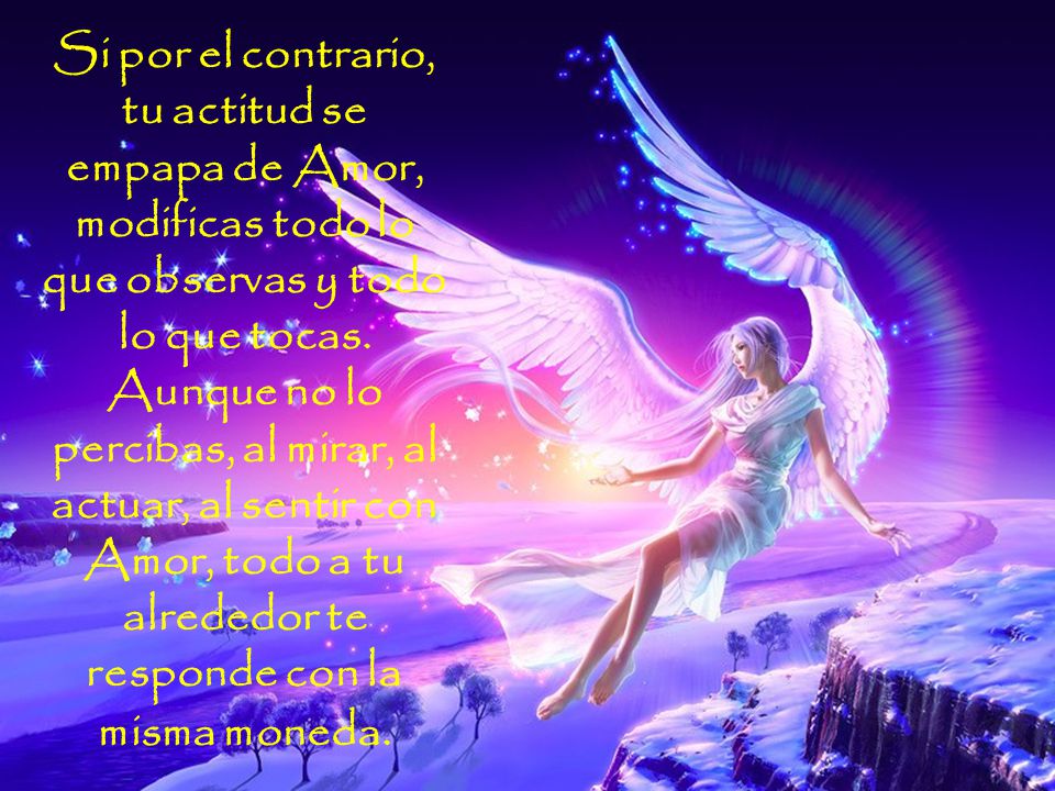 Si por el contrario, tu actitud se empapa de Amor, modificas todo lo que observas y todo lo que tocas. Aunque no lo percibas, al mirar, al actuar, al sentir con Amor, todo a tu alrededor te responde con la misma moneda.
