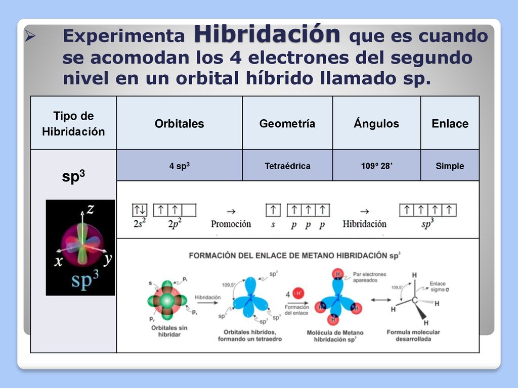 Experimenta Hibridación que es cuando se acomodan los 4 electrones del segundo nivel en un orbital híbrido llamado sp.