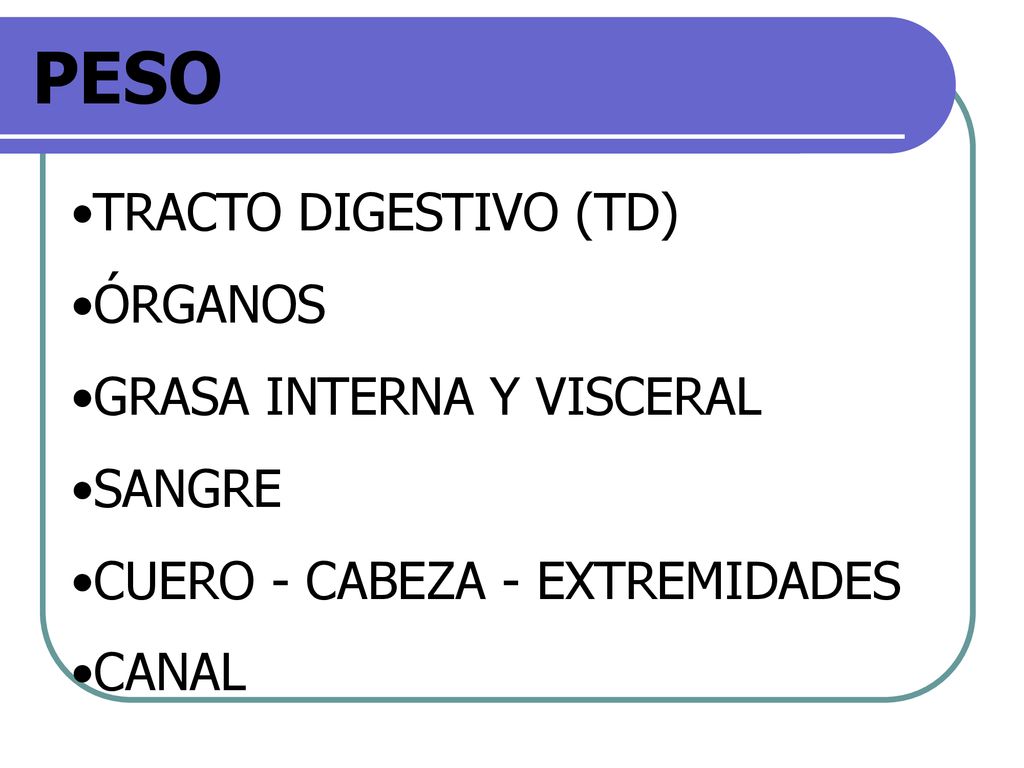 PESO TRACTO DIGESTIVO (TD) ÓRGANOS GRASA INTERNA Y VISCERAL SANGRE