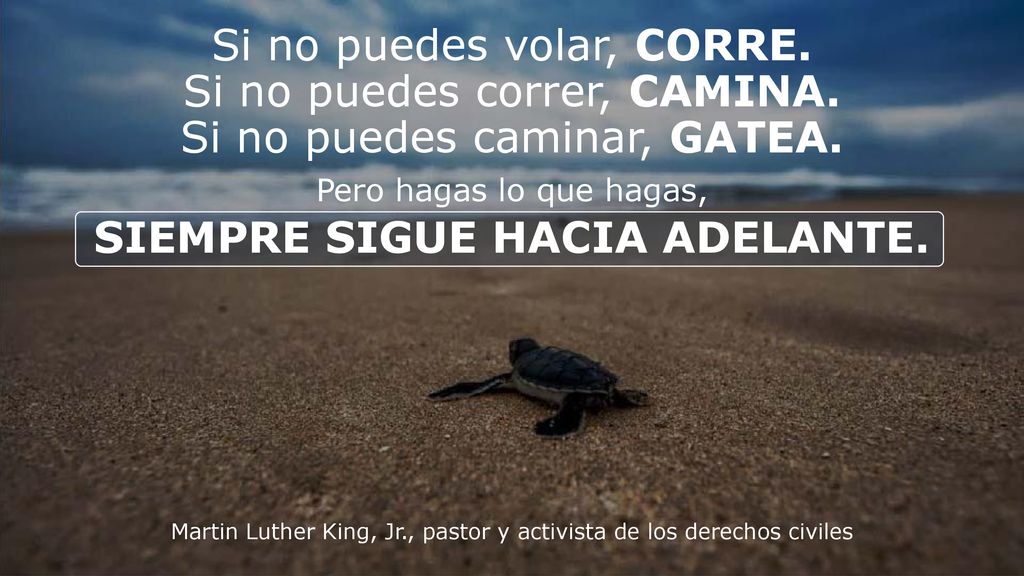 Martin Luther King, Jr., pastor y activista de los derechos civiles