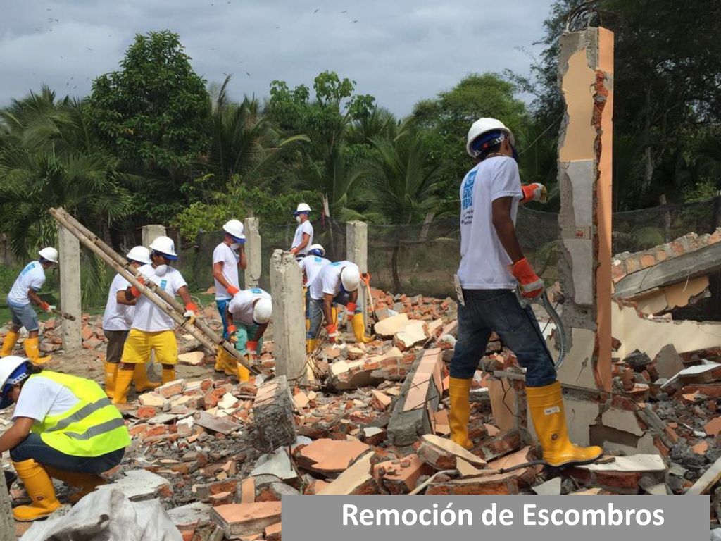 Proyecto piloto iniciado el 1 de mayo, 15 días después del terremoto