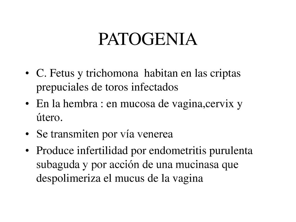 PATOGENIA C. Fetus y trichomona habitan en las criptas prepuciales de toros infectados. En la hembra : en mucosa de vagina,cervix y útero.