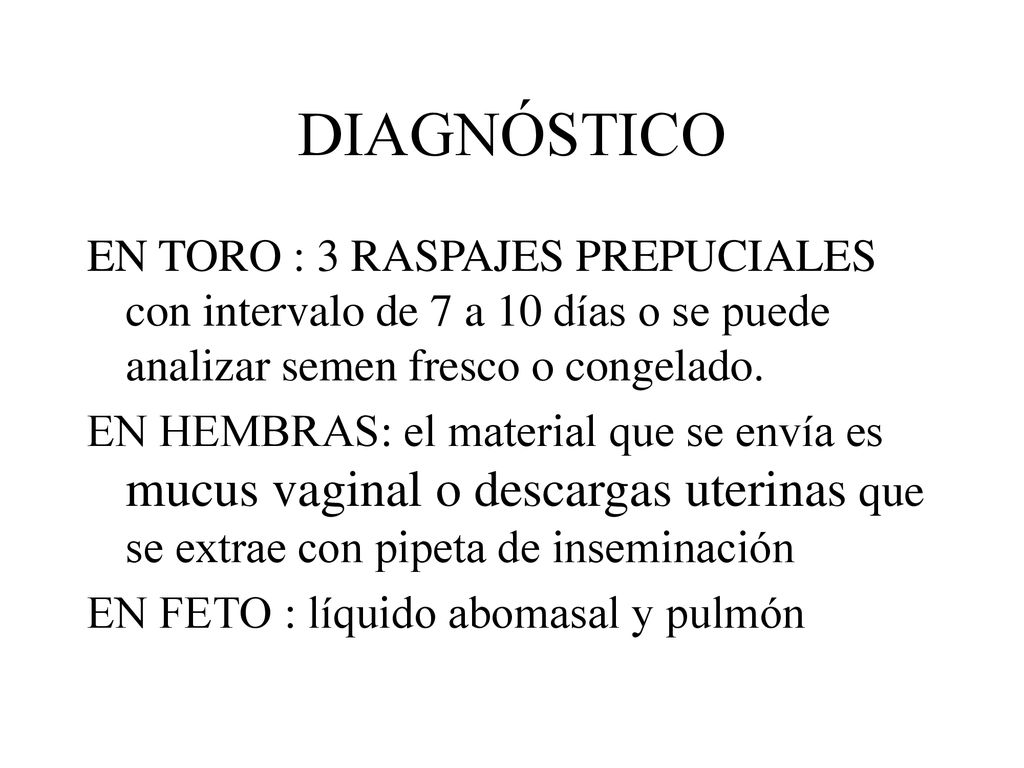 DIAGNÓSTICO EN TORO : 3 RASPAJES PREPUCIALES con intervalo de 7 a 10 días o se puede analizar semen fresco o congelado.