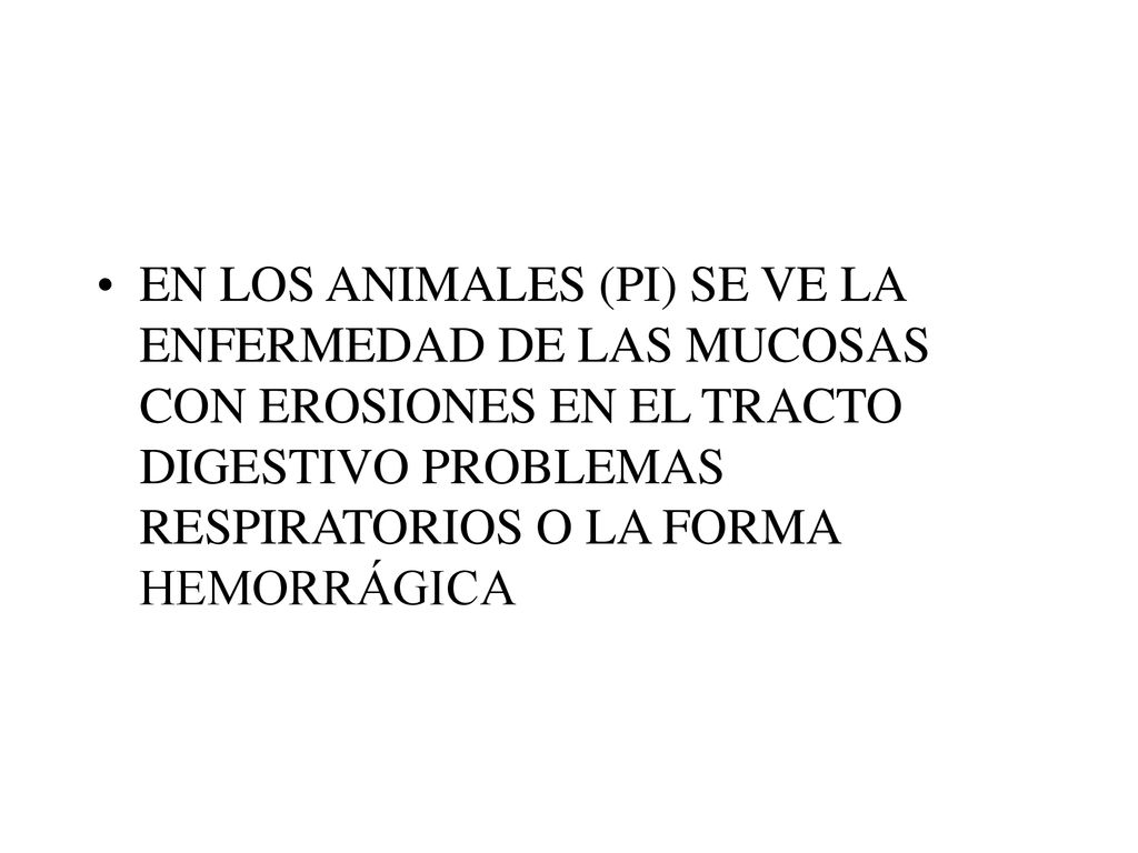 EN LOS ANIMALES (PI) SE VE LA ENFERMEDAD DE LAS MUCOSAS CON EROSIONES EN EL TRACTO DIGESTIVO PROBLEMAS RESPIRATORIOS O LA FORMA HEMORRÁGICA