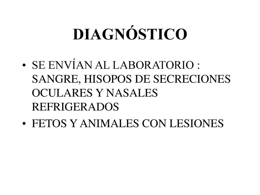 DIAGNÓSTICO SE ENVÍAN AL LABORATORIO : SANGRE, HISOPOS DE SECRECIONES OCULARES Y NASALES REFRIGERADOS.
