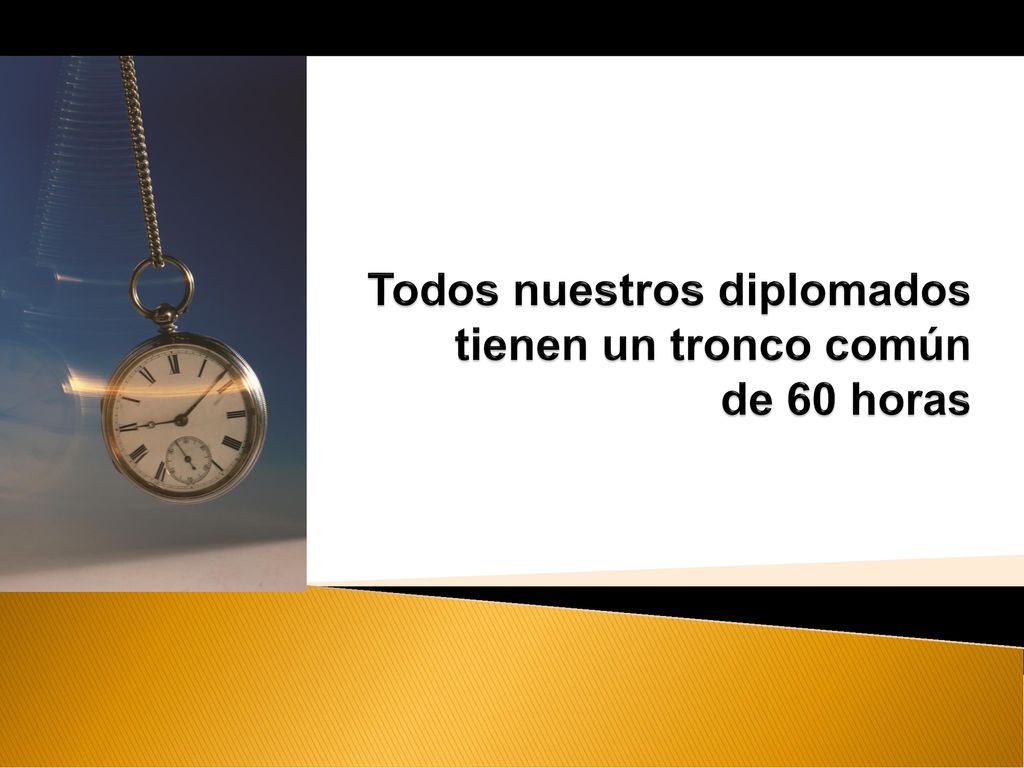 Todos nuestros diplomados tienen un tronco común de 60 horas