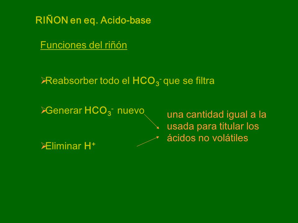 RIÑON en eq. Acido-base Funciones del riñón. Reabsorber todo el HCO3- que se filtra. Generar HCO3- nuevo.