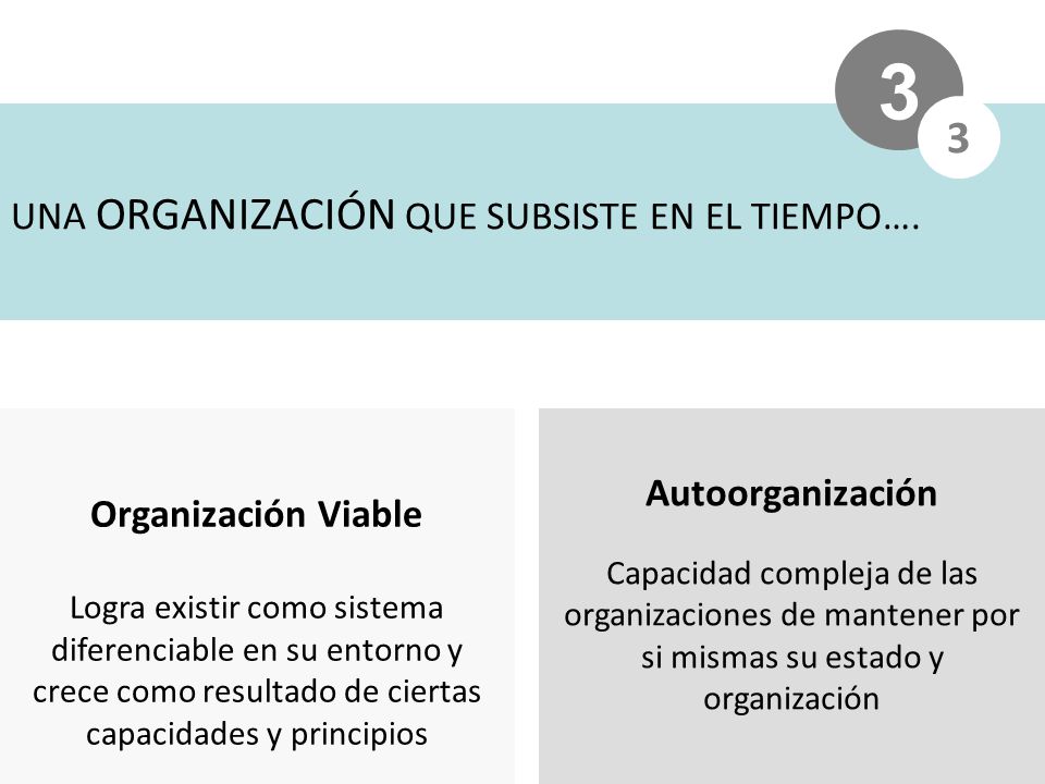 3 3 UNA ORGANIZACIÓN QUE SUBSISTE EN EL TIEMPO…. Autoorganización