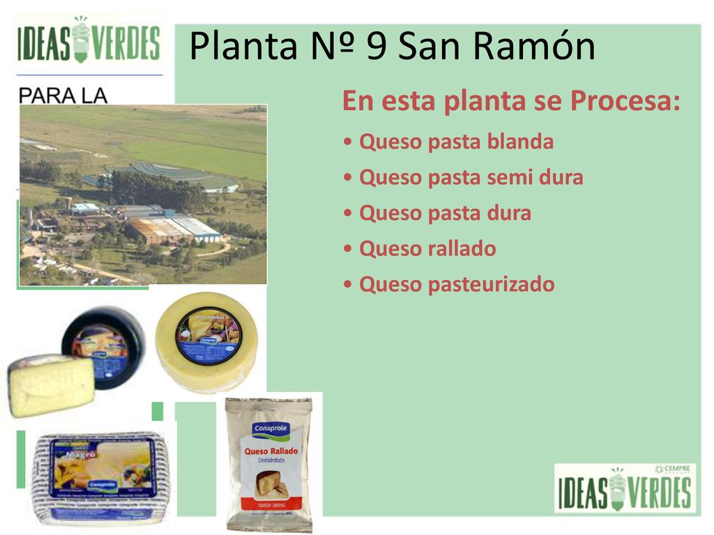 Planta Nº 9 San Ramón En esta planta se Procesa: Queso pasta blanda