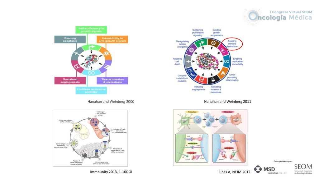 Hanahan and Weinberg 2000 Hanahan and Weinberg 2011 Immnunity 2013, 1-10DOI Ribas A, NEJM 2012
