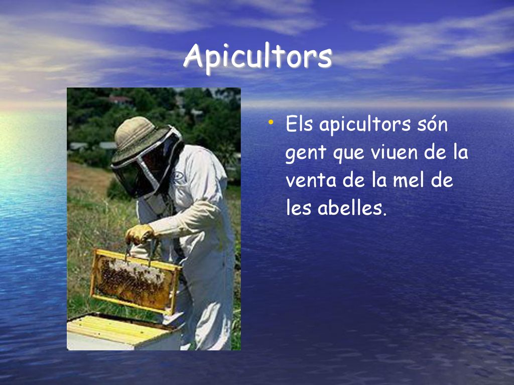 Apicultors Els apicultors són gent que viuen de la venta de la mel de les abelles.
