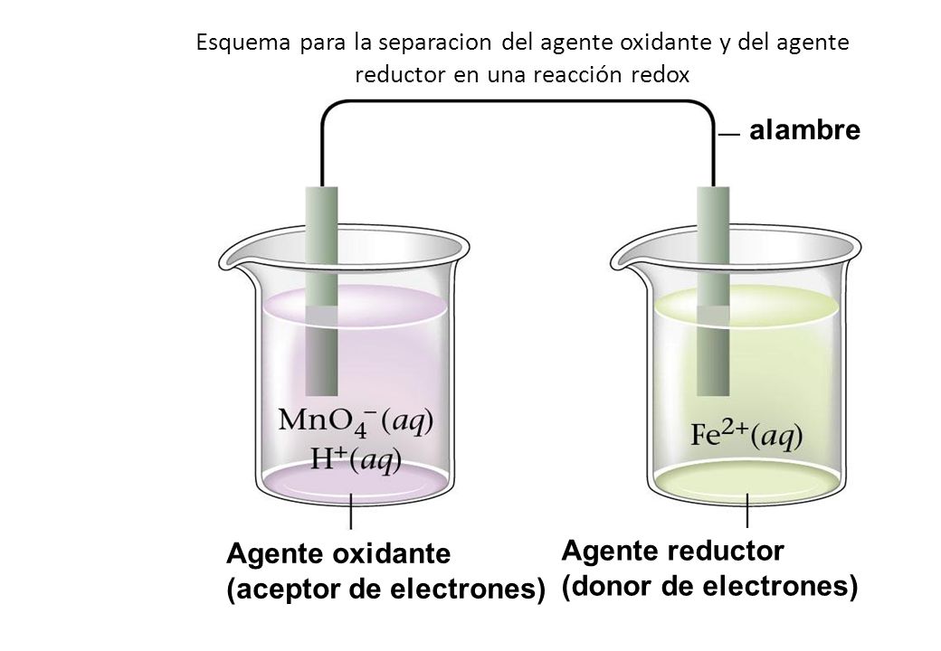 (aceptor de electrones) Agente reductor (donor de electrones)