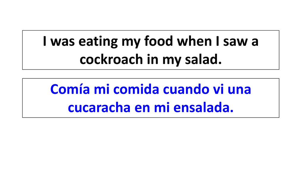 I was eating my food when I saw a cockroach in my salad.