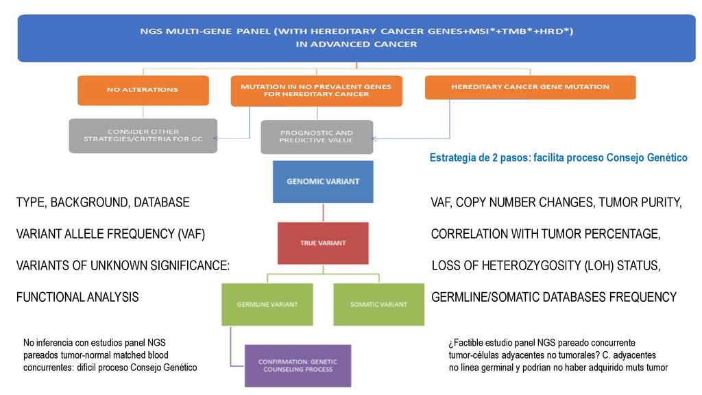 TYPE, BACKGROUND, DATABASE VAF, COPY NUMBER CHANGES, TUMOR PURITY,