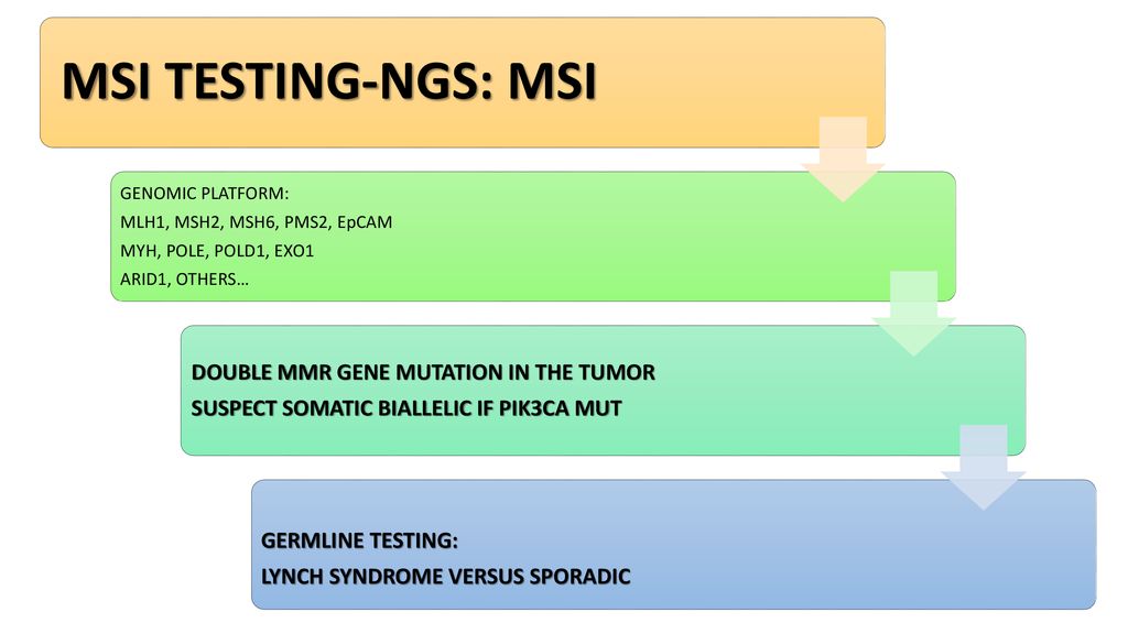 MSI TESTING-NGS: MSI DOUBLE MMR GENE MUTATION IN THE TUMOR