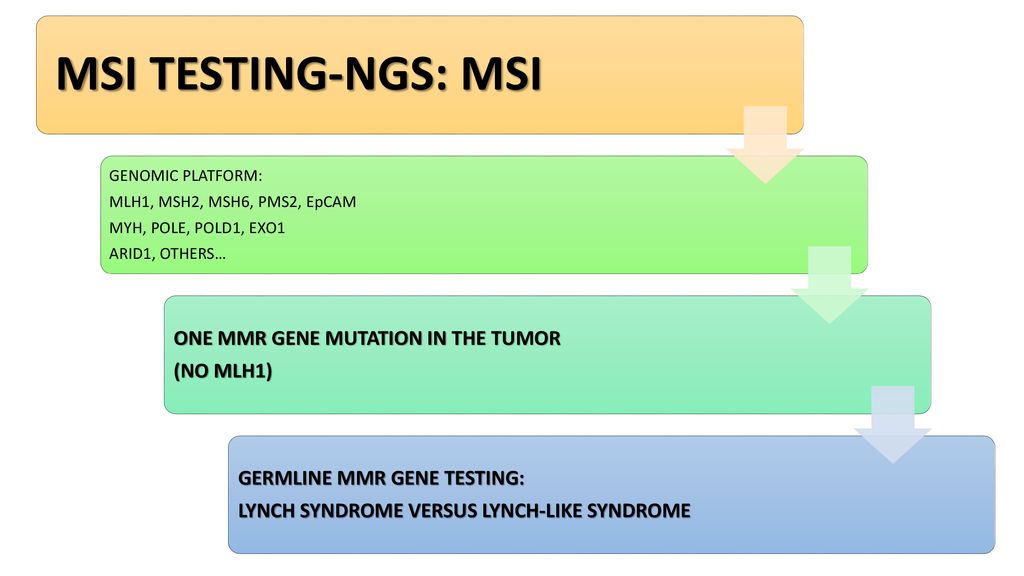 MSI TESTING-NGS: MSI ONE MMR GENE MUTATION IN THE TUMOR (NO MLH1)