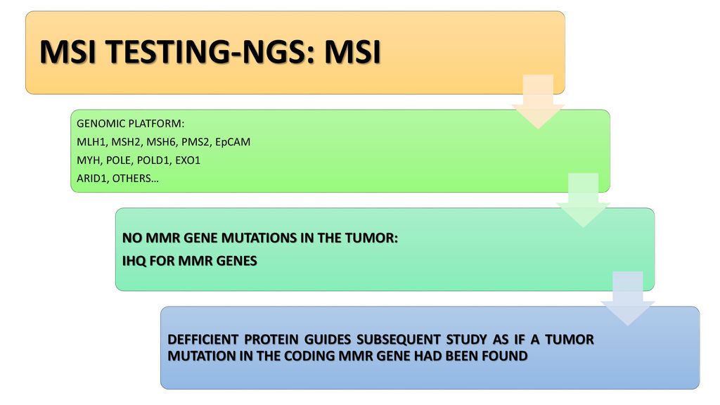 MSI TESTING-NGS: MSI NO MMR GENE MUTATIONS IN THE TUMOR: