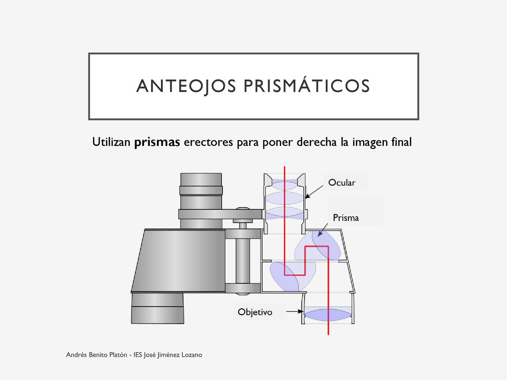 Anteojos prismáticos Utilizan prismas erectores para poner derecha la imagen final.