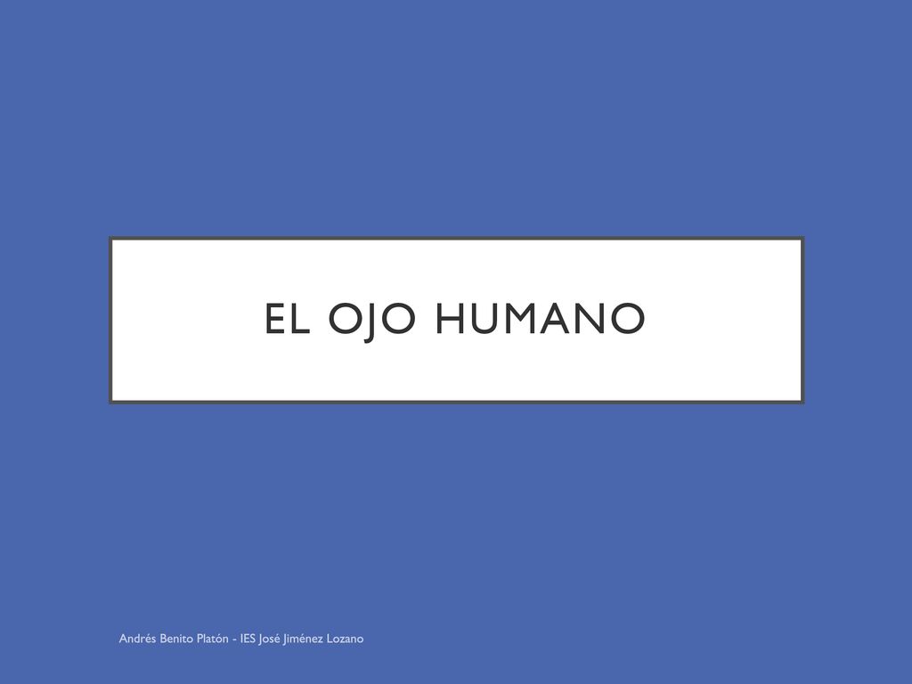 El ojo humano Andrés Benito Platón - IES José Jiménez Lozano