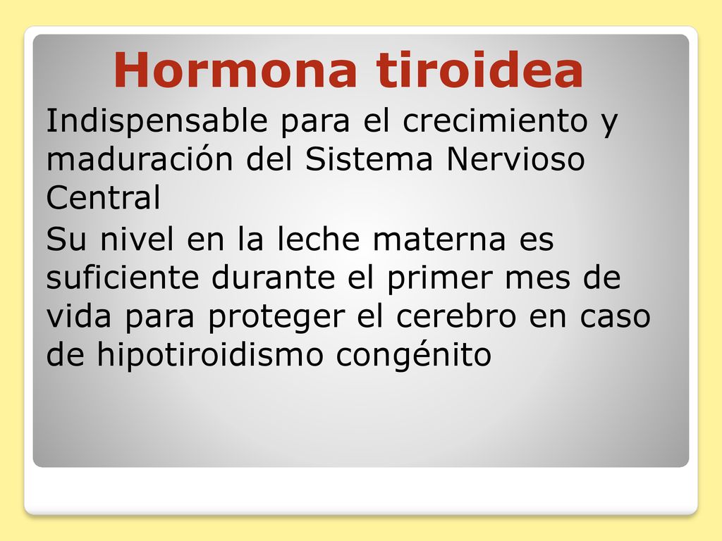 Hormona tiroidea Indispensable para el crecimiento y maduración del Sistema Nervioso Central.