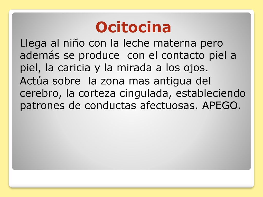 Ocitocina Llega al niño con la leche materna pero además se produce con el contacto piel a piel, la caricia y la mirada a los ojos.