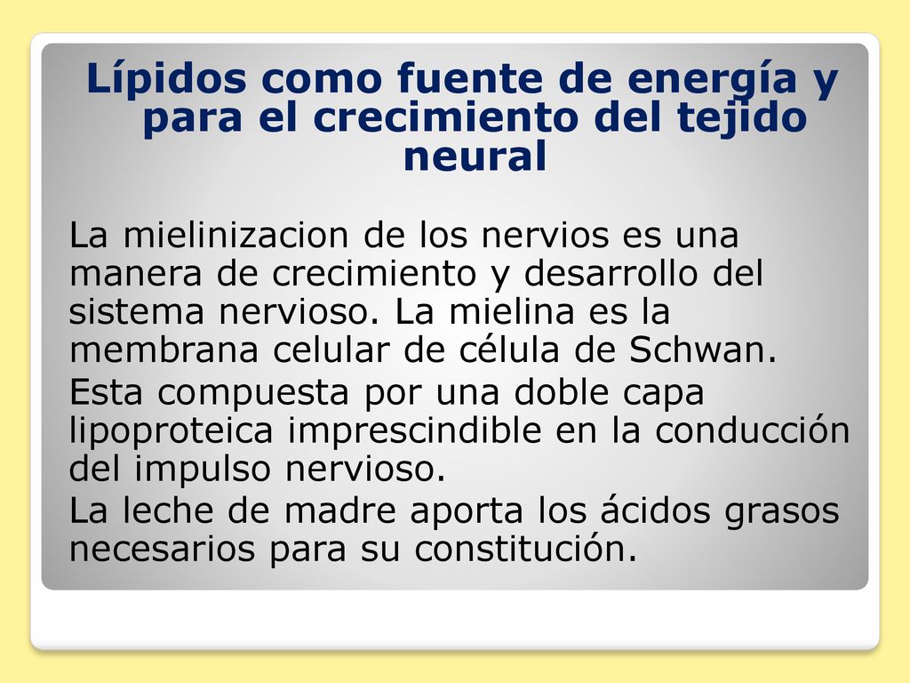 Lípidos como fuente de energía y para el crecimiento del tejido neural