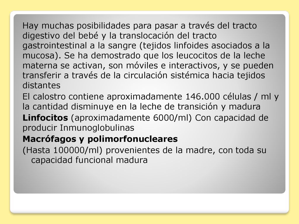 Hay muchas posibilidades para pasar a través del tracto digestivo del bebé y la translocación del tracto gastrointestinal a la sangre (tejidos linfoides asociados a la mucosa).