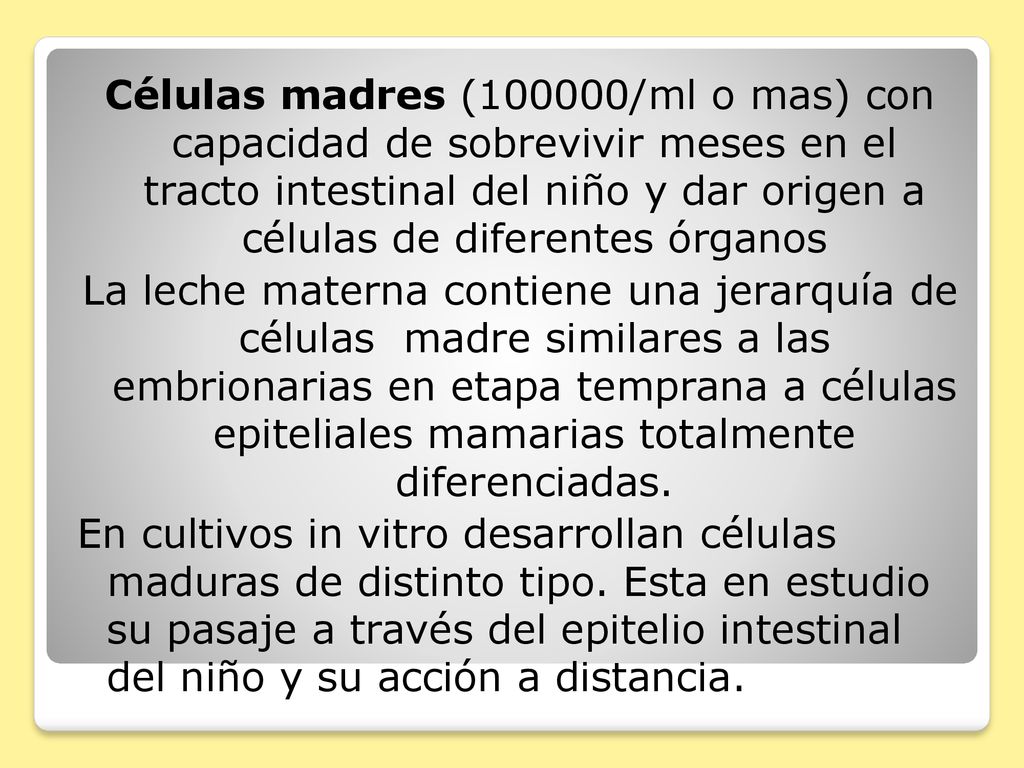 Células madres (100000/ml o mas) con capacidad de sobrevivir meses en el tracto intestinal del niño y dar origen a células de diferentes órganos