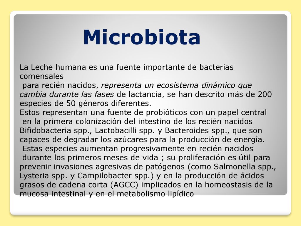 Microbiota La Leche humana es una fuente importante de bacterias comensales.