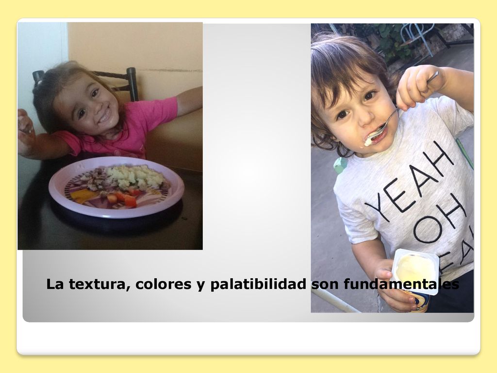 La textura, colores y palatibilidad son fundamentales