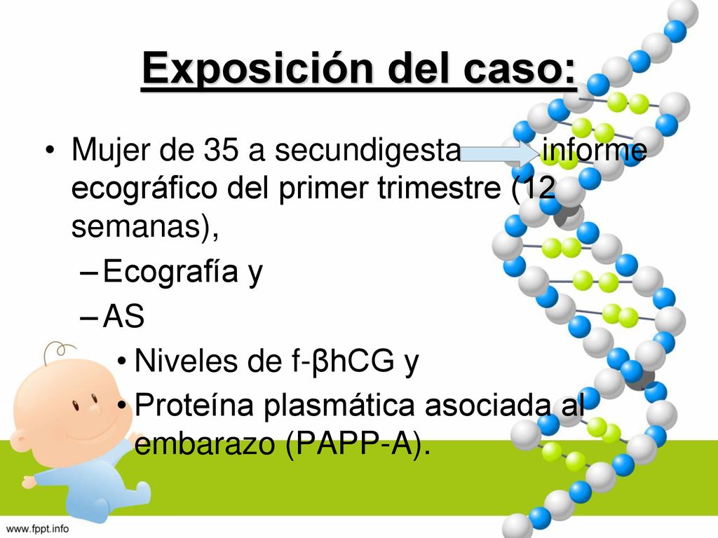 Exposición del caso: Mujer de 35 a secundigesta informe ecográfico del primer trimestre (12 semanas),