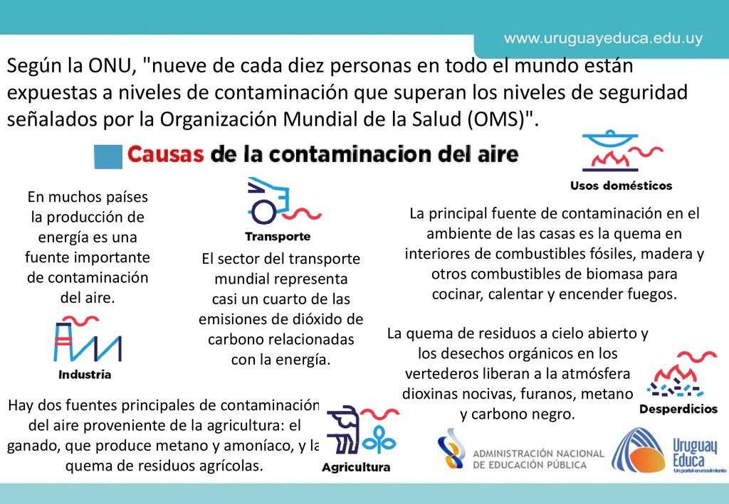 Según la ONU, nueve de cada diez personas en todo el mundo están expuestas a niveles de contaminación que superan los niveles de seguridad señalados por la Organización Mundial de la Salud (OMS) .