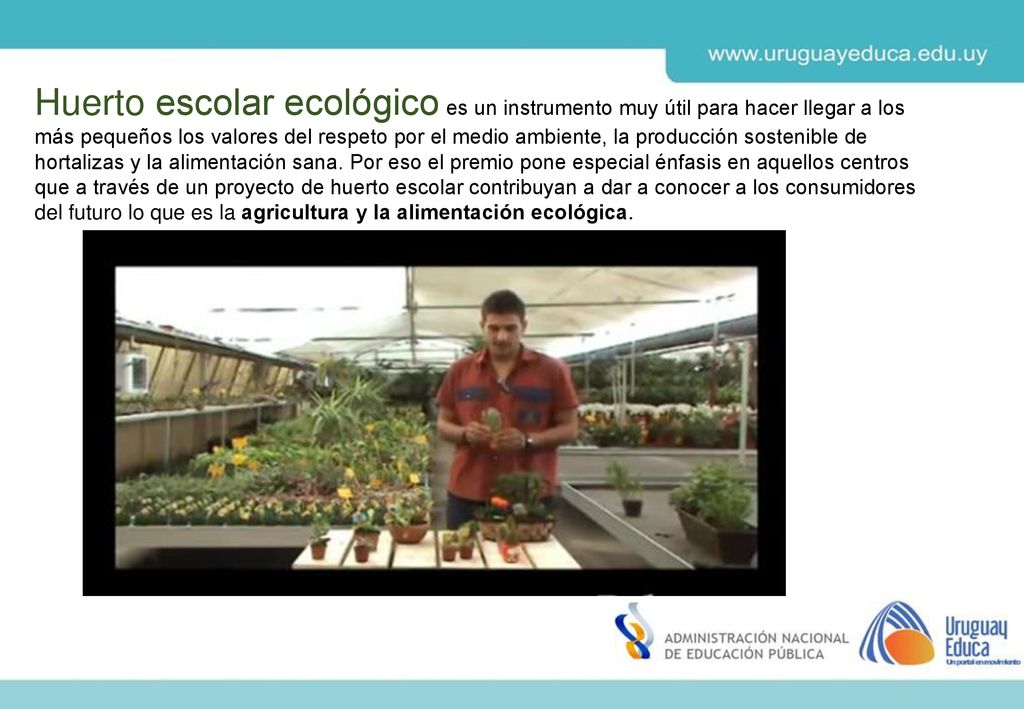 Huerto escolar ecológico es un instrumento muy útil para hacer llegar a los más pequeños los valores del respeto por el medio ambiente, la producción sostenible de hortalizas y la alimentación sana.
