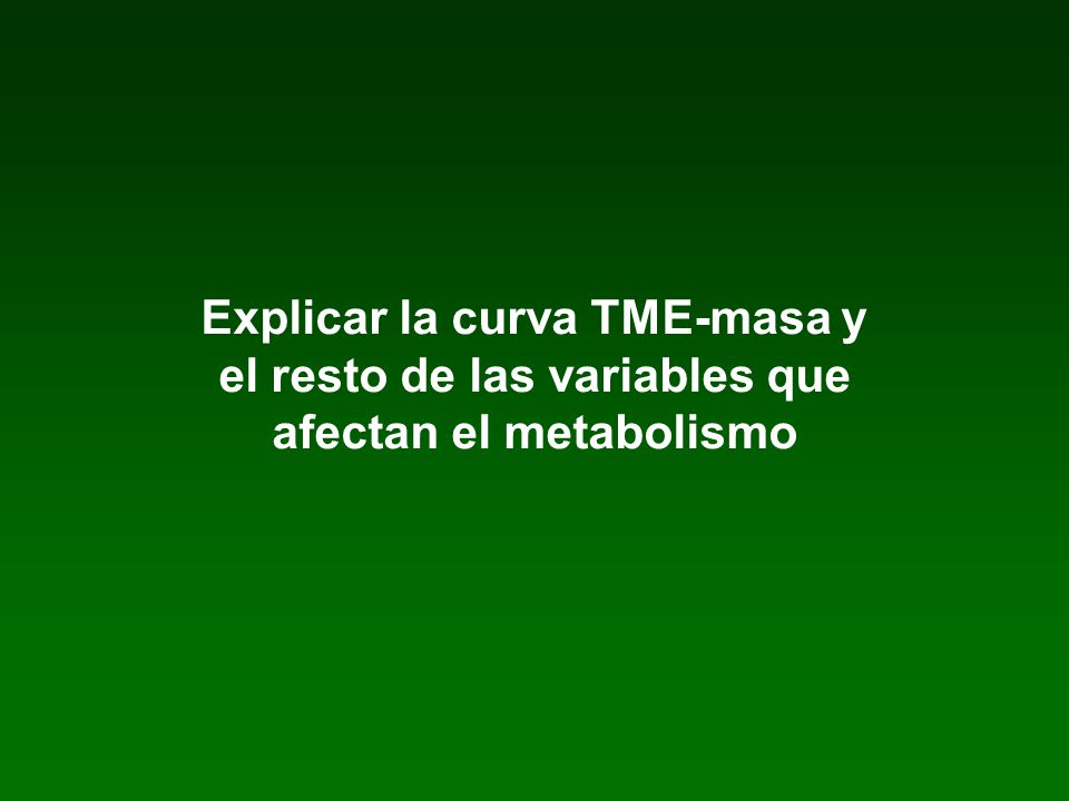 Explicar la curva TME-masa y el resto de las variables que afectan el metabolismo