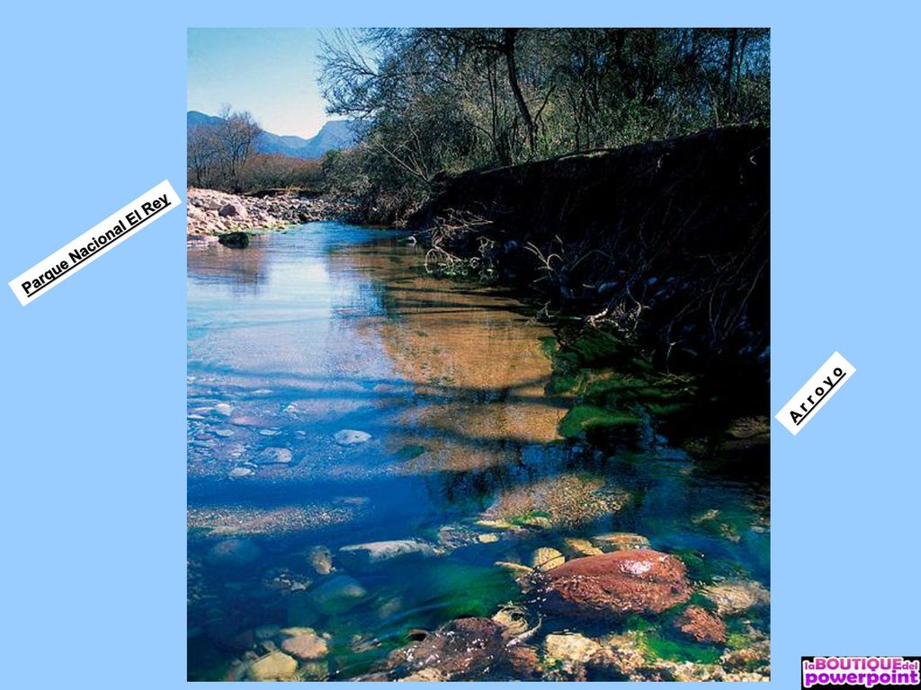 Parque Nacional El Rey A r r o y o