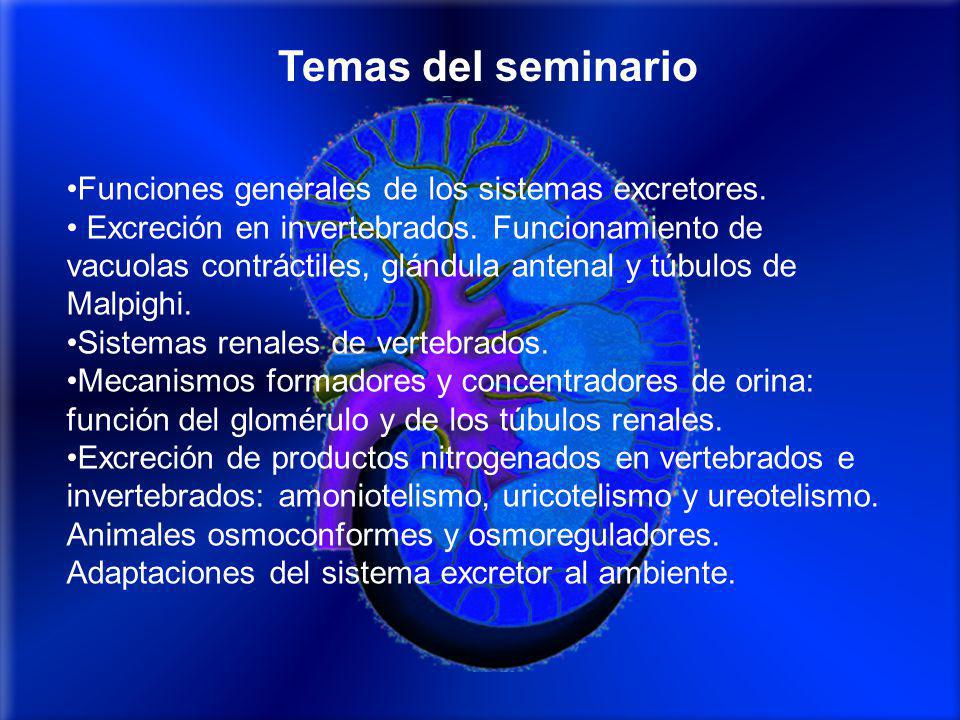 Temas del seminario Funciones generales de los sistemas excretores.
