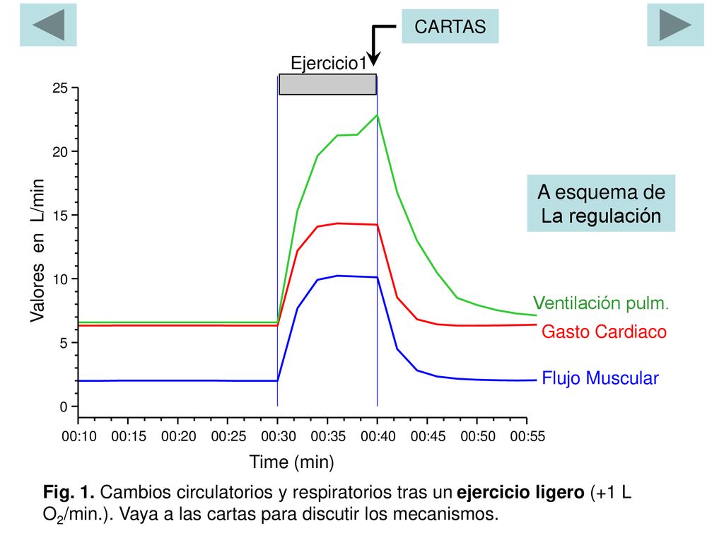 A esquema de La regulación CARTAS Ejercicio1 Valores en L/min