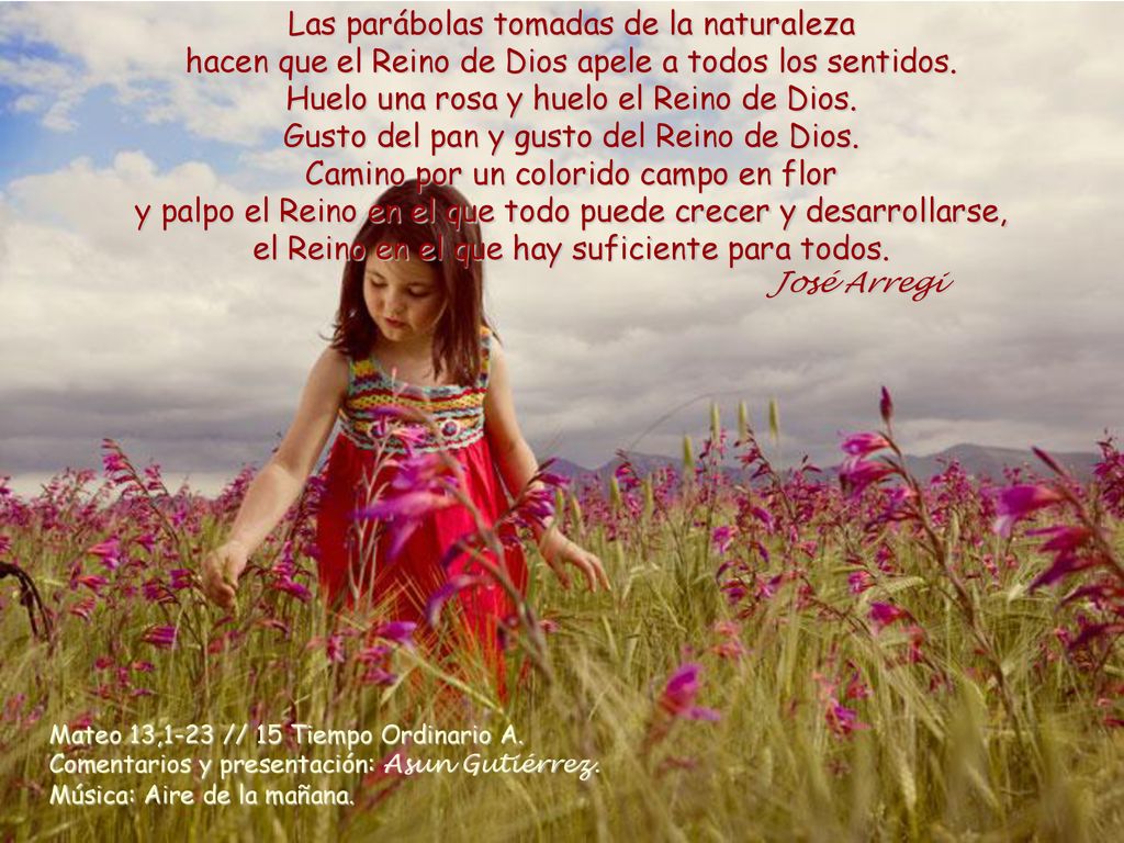 Las parábolas tomadas de la naturaleza hacen que el Reino de Dios apele a todos los sentidos.