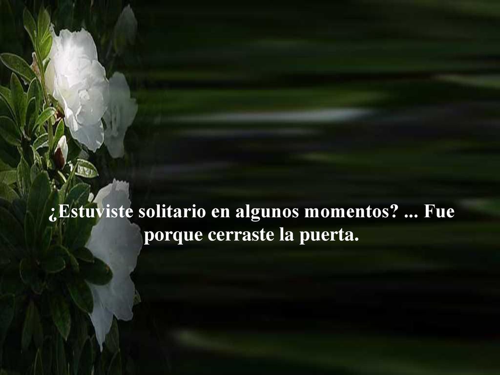 ¿Estuviste solitario en algunos momentos ... Fue porque cerraste la puerta.