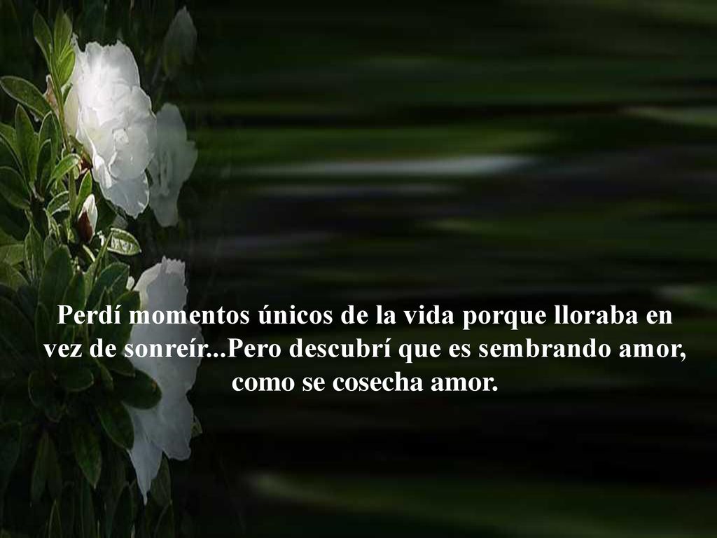 Perdí momentos únicos de la vida porque lloraba en vez de sonreír
