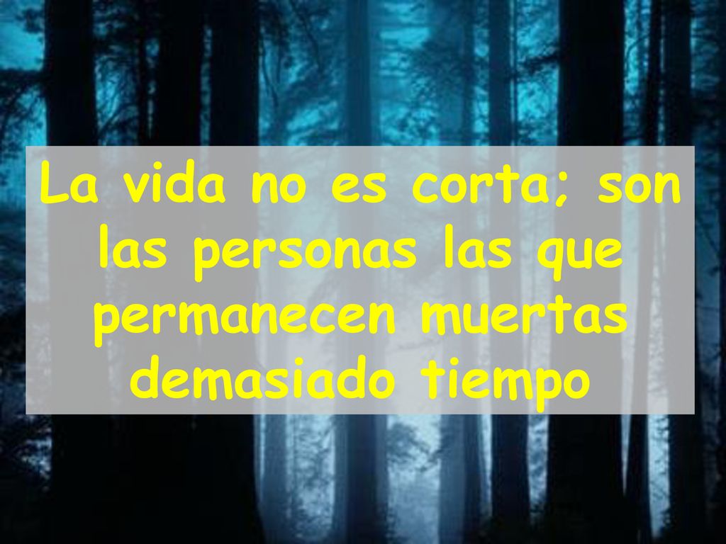 La vida no es corta; son las personas las que permanecen muertas demasiado tiempo