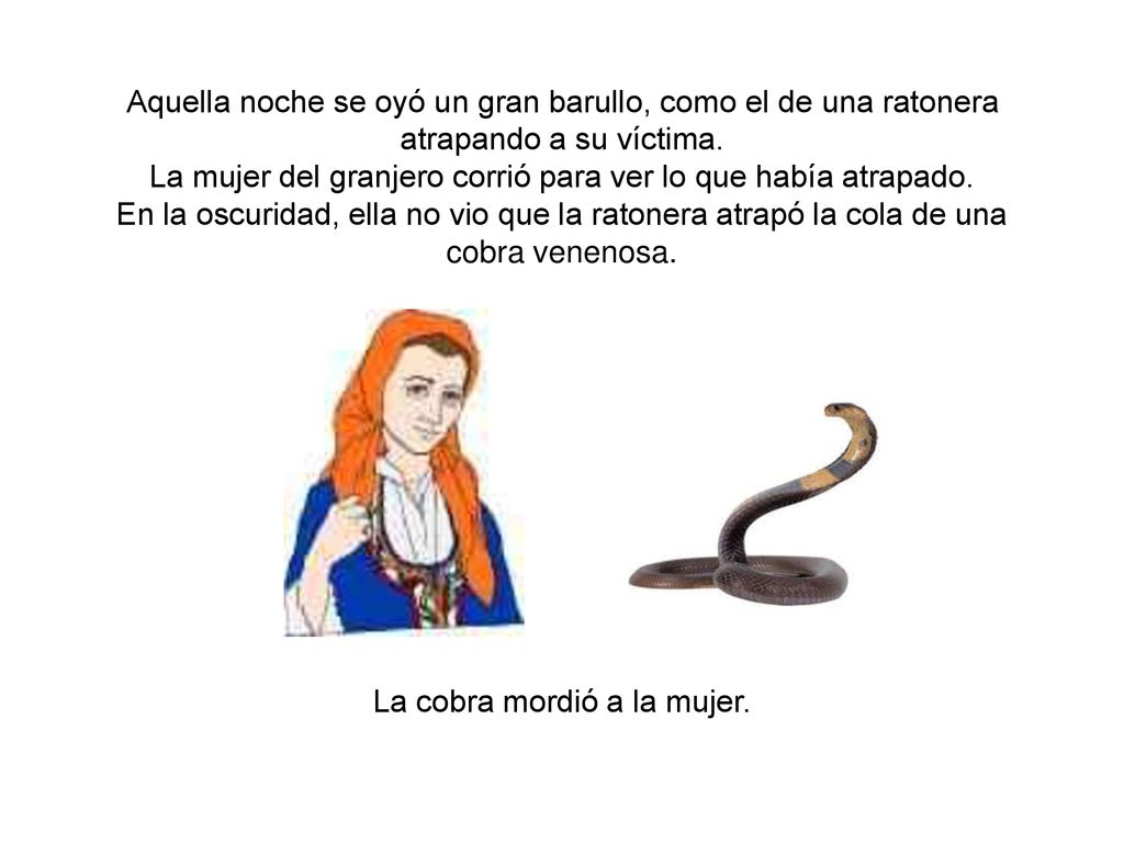 Aquella noche se oyó un gran barullo, como el de una ratonera