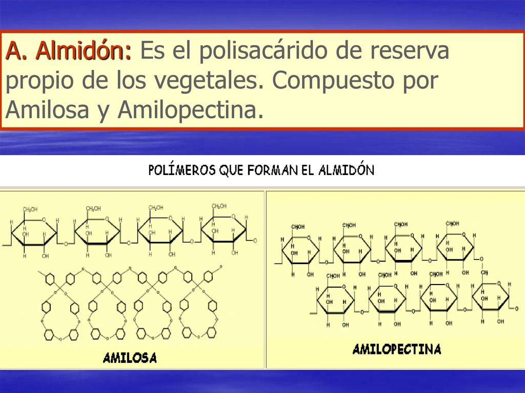 A. Almidón: Es el polisacárido de reserva propio de los vegetales