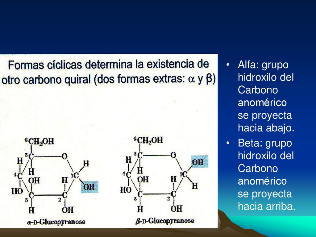 Alfa: grupo hidroxilo del Carbono anomérico se proyecta hacia abajo.