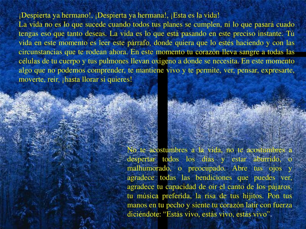 ¡Despierta ya hermano!, ¡Despierta ya hermana!, ¡Esta es la vida!
